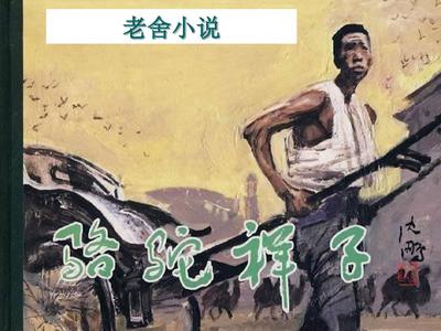 红杏补单官网入口